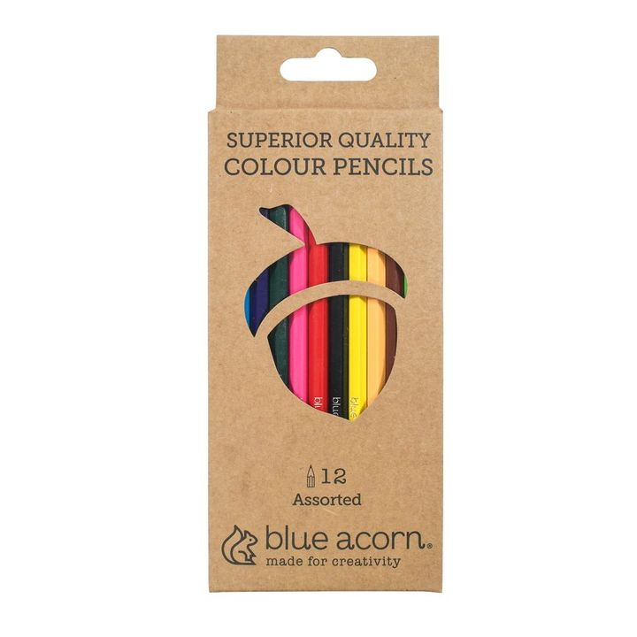 20ce12-blue-acorn-set-of-12-assorted-colour-pencils__preview