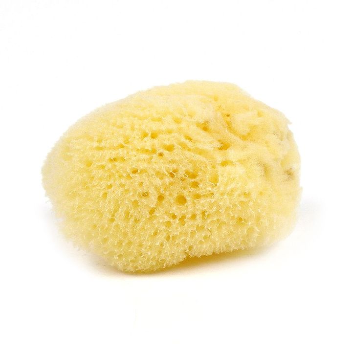 9023a-jakar-sponge-2__preview