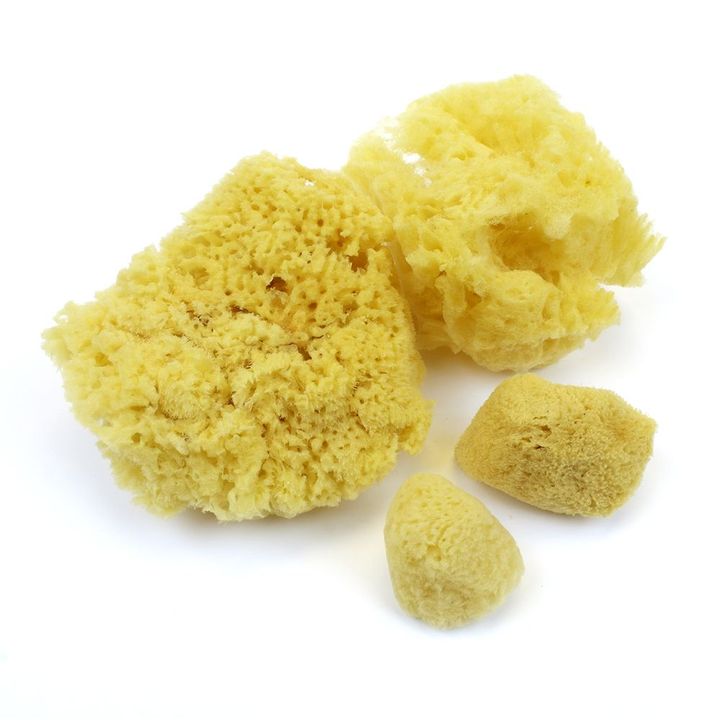 natural_sponge_variety_pack__preview