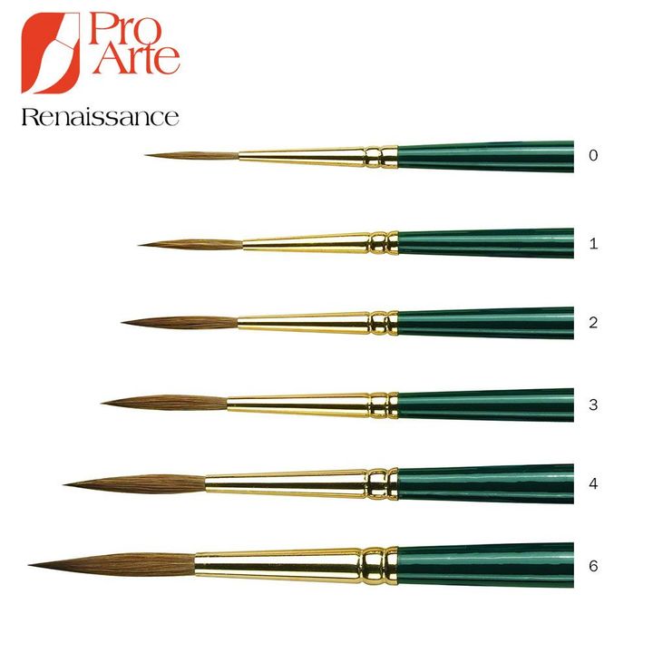prolene-renaissance-rigger-range__preview