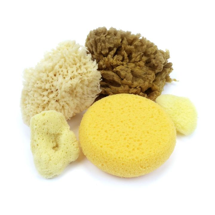 sponge_value_pack__preview