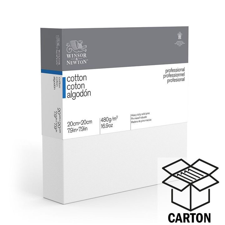 wn-professional-deep-edge-canvas-cartons__preview